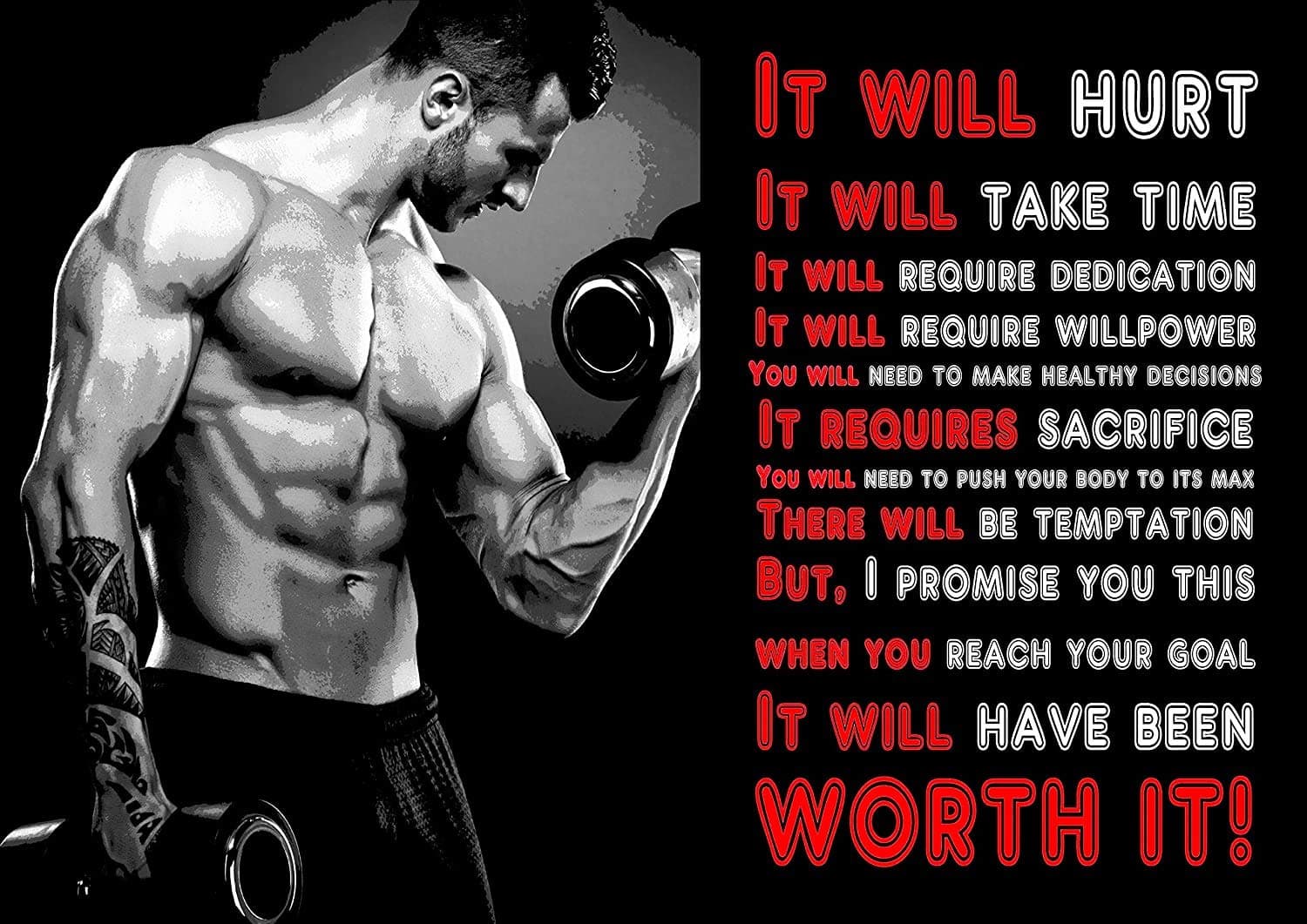 Inspirational Motivational Quote Sign Poster Print Picture(IT Will Hurt) Bodybuilding, Weightlifting, Training
