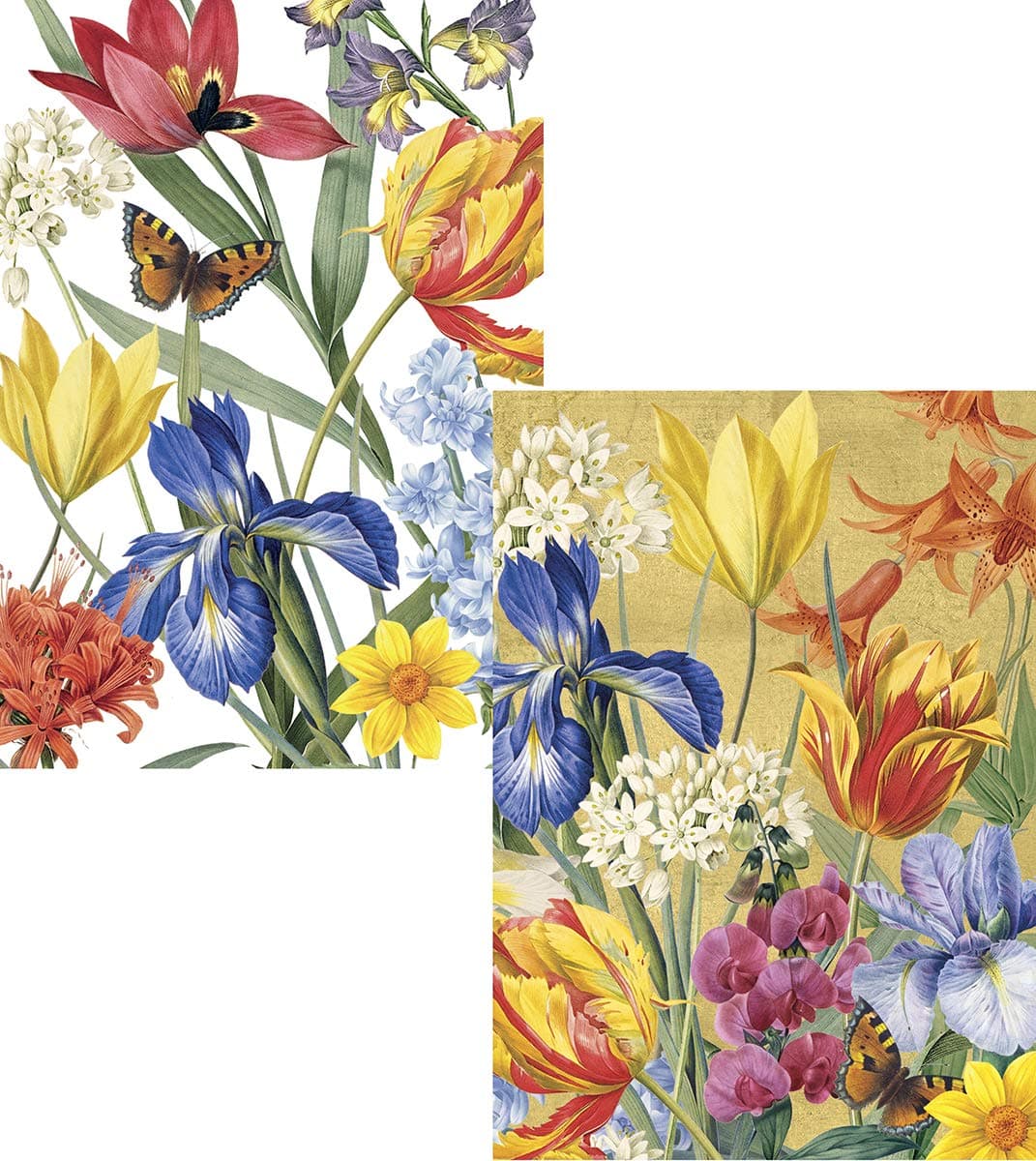 Caspari8 Greeting Cards Notelets Blank & envelopes - Redoute Floral New York Botanical Gardens