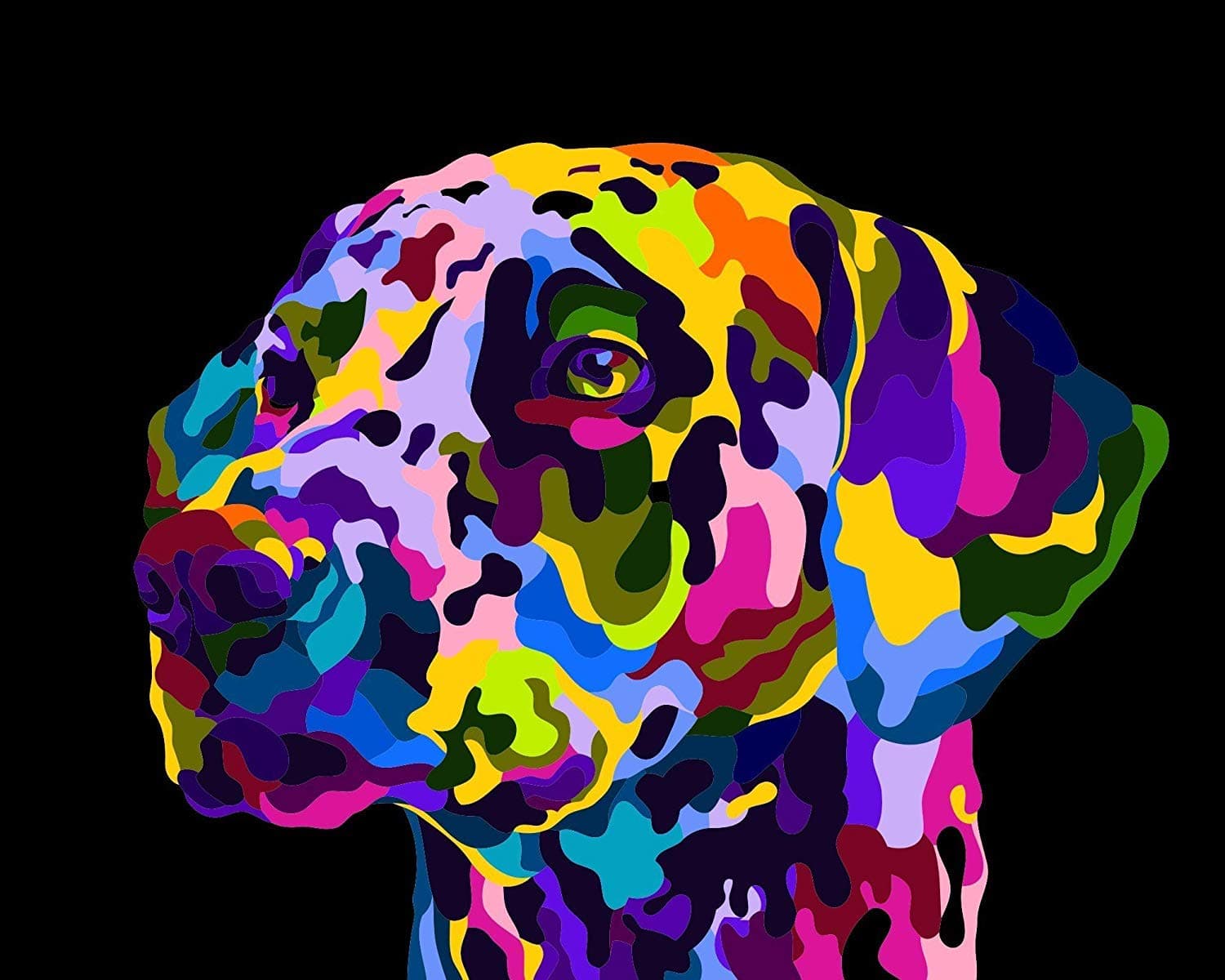 Paint by Numbers for Adults by BANLANA, DIY Adult Paint by Number Kits for Beginners on Canvas Rolled 16" by 20" (Colorful Dog Dalmatian)