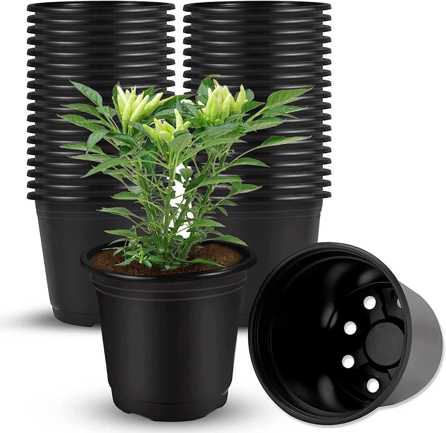 Ocean Mart Plastic Nursery Seedlings Pot - 25 Pcs (3 Inch, Black) | Plant Seed Starting Pots | Garden Plant Pots for Indoors & Outdoors | Planting Pots | Plant Containers for Home Plants | Black Pot