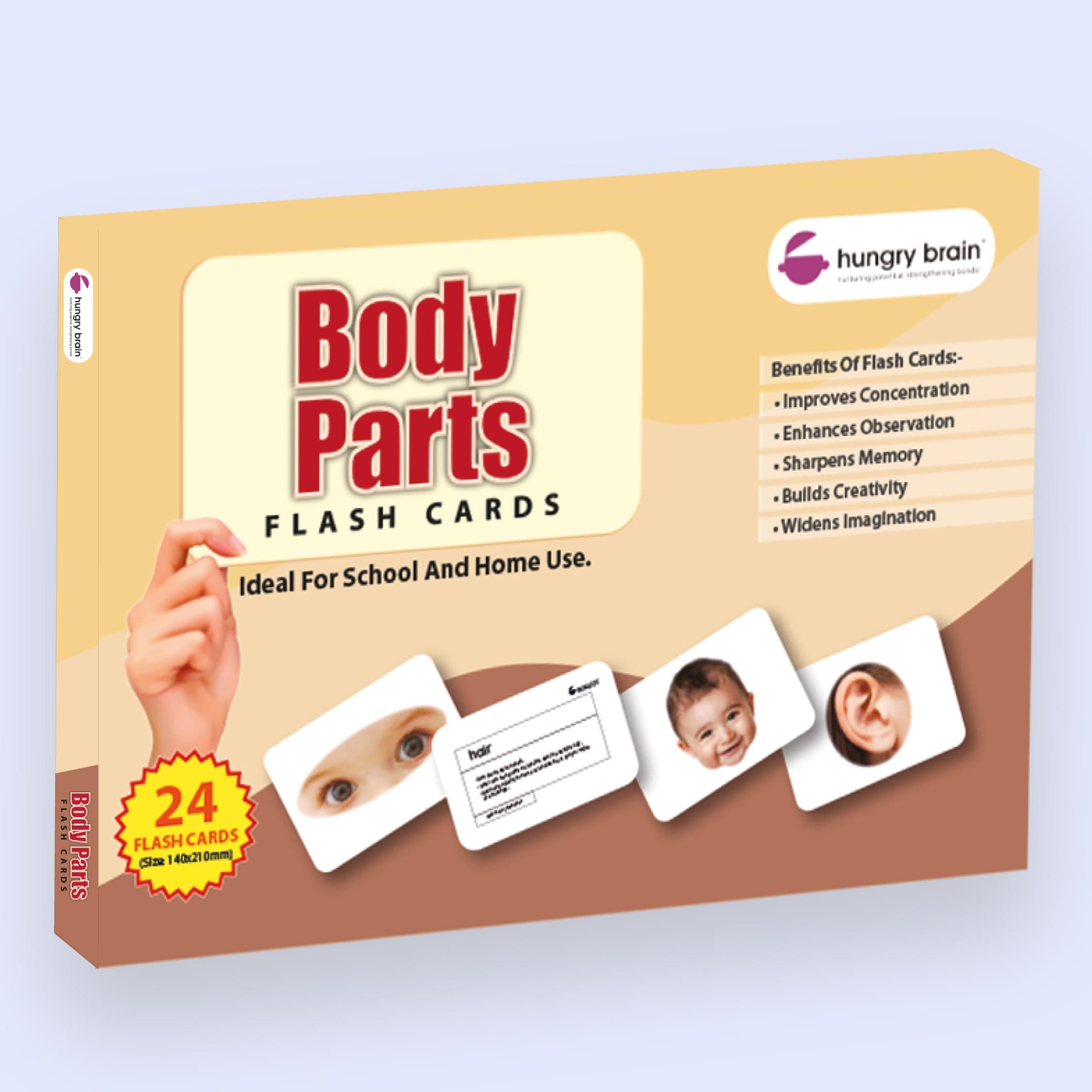 Hungry Brain Body Parts Educational Flash Cards for Toddlers & Babies 3 Months–6 Years | 24 Learning Cards | Early Brain Development & Vocabulary Skills | Preschool Montessori Learning Toy