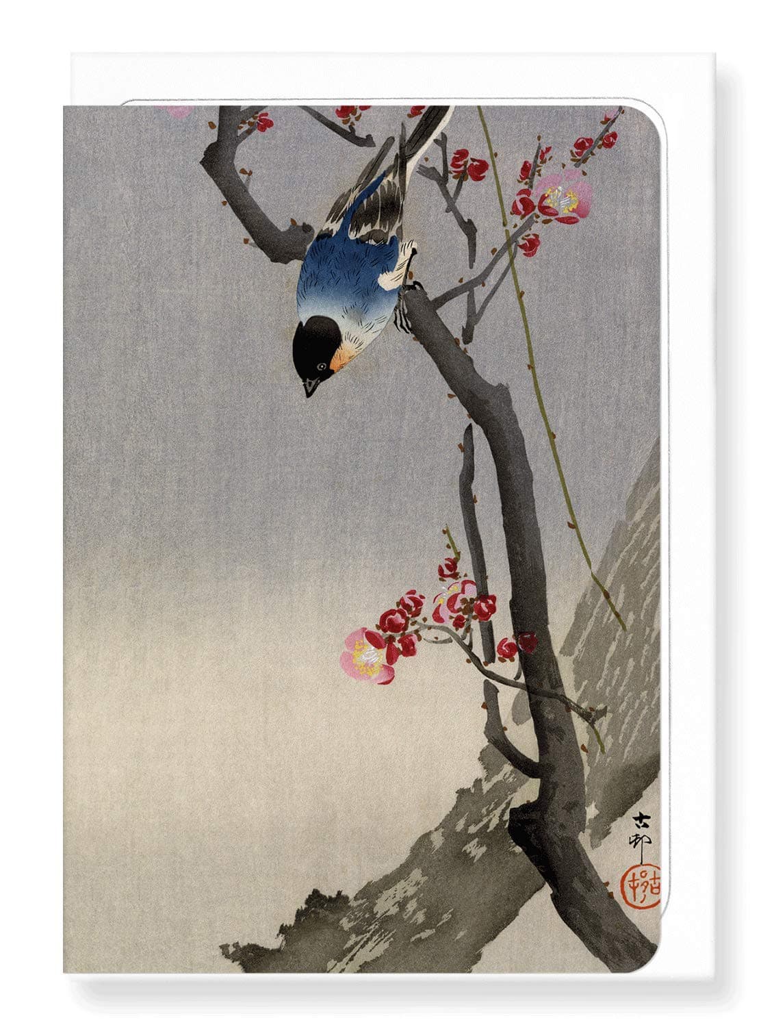 Japanese Greeting Card - Bullfinch Bird by Ezen Designs