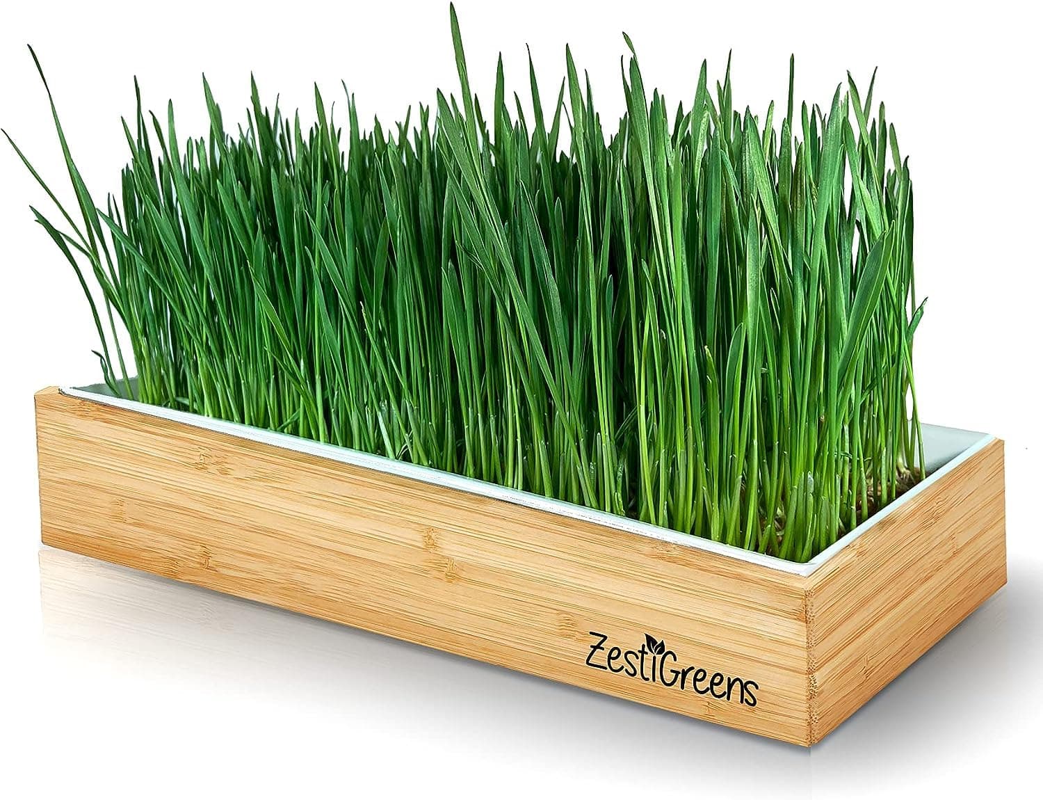 Organic Wheatgrass Growing Kit, Self Watering, with Soilless Grow Mats. The Easy Way to Grow & Juice Healthy Wheat Grass & Make Cat Grass. Bamboo Surround & Black Out Lid. (Organic Wheatgrass Kit)