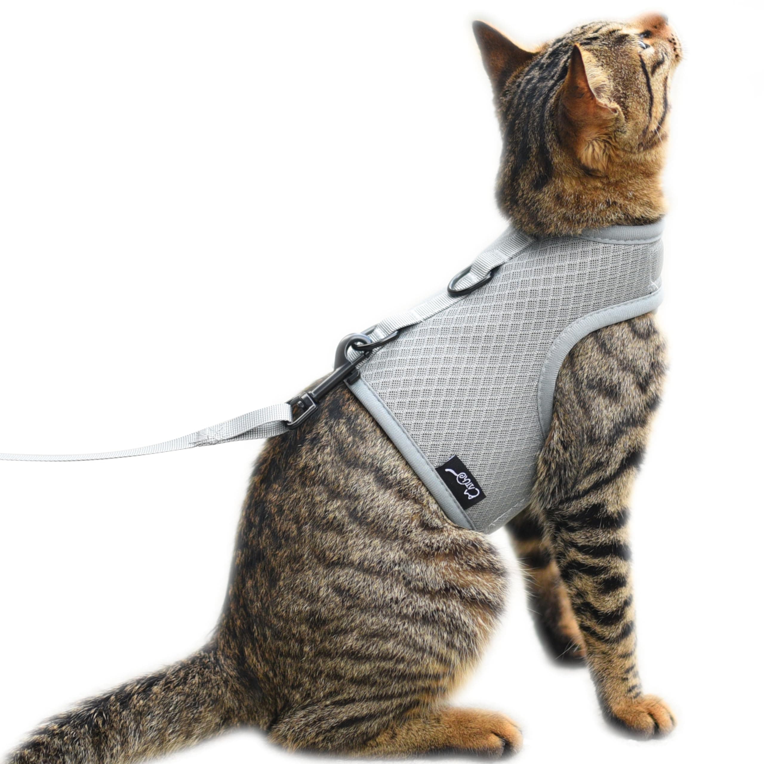 Cat Harness and Leash for Walking Escape Proof Breathable Mesh Fabric, Solid Grey, Medium, Adjustable Cat Walking Jackets, Padded Stylish Cat Vest