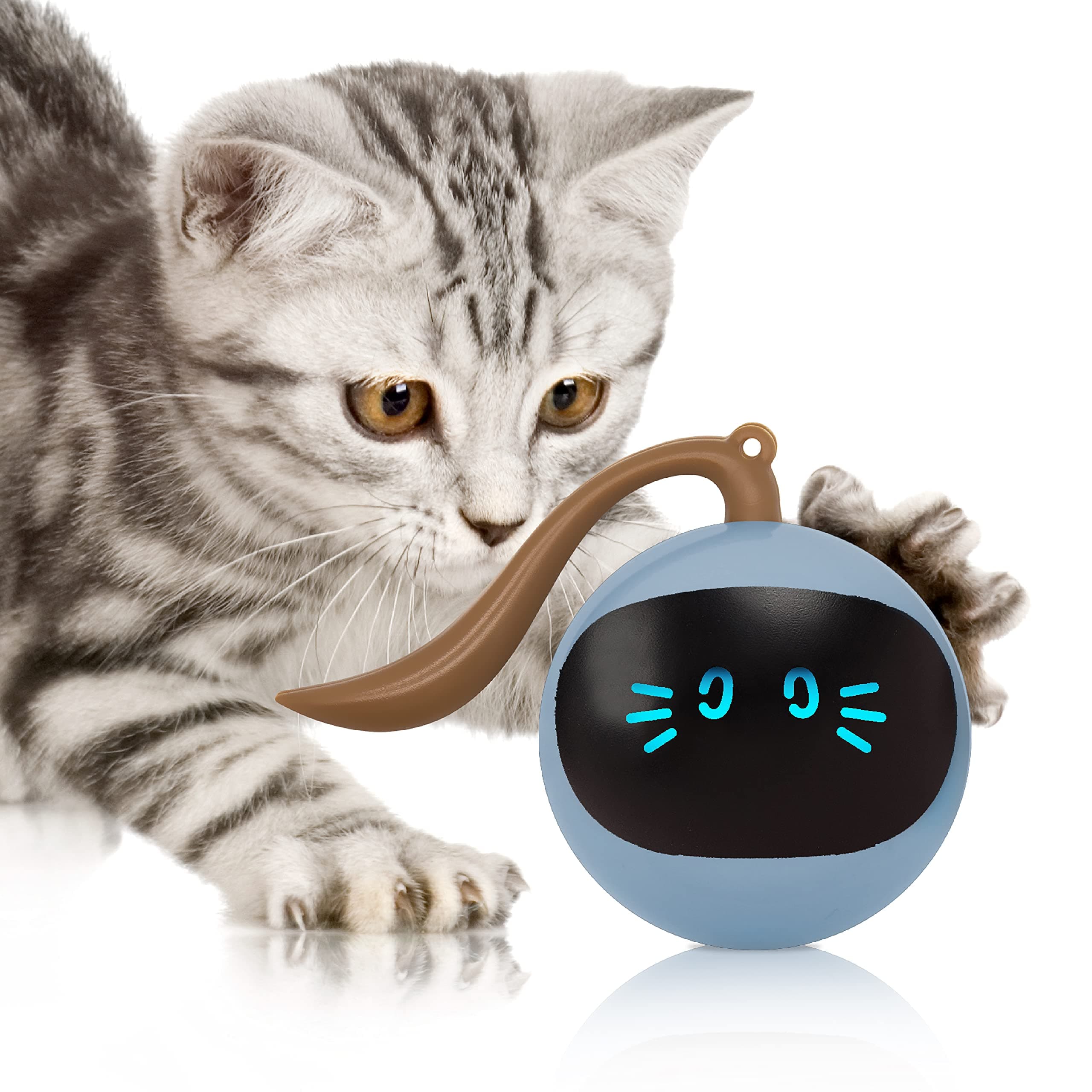 Cat Toys 360°Self Rolling Ball Toy Interactive Toys Cat Wand Teaser Toys USB Charging Hunting Exercise Toys Indoor Gifts for Kitten/Puppy/Small Dogs (Blue)
