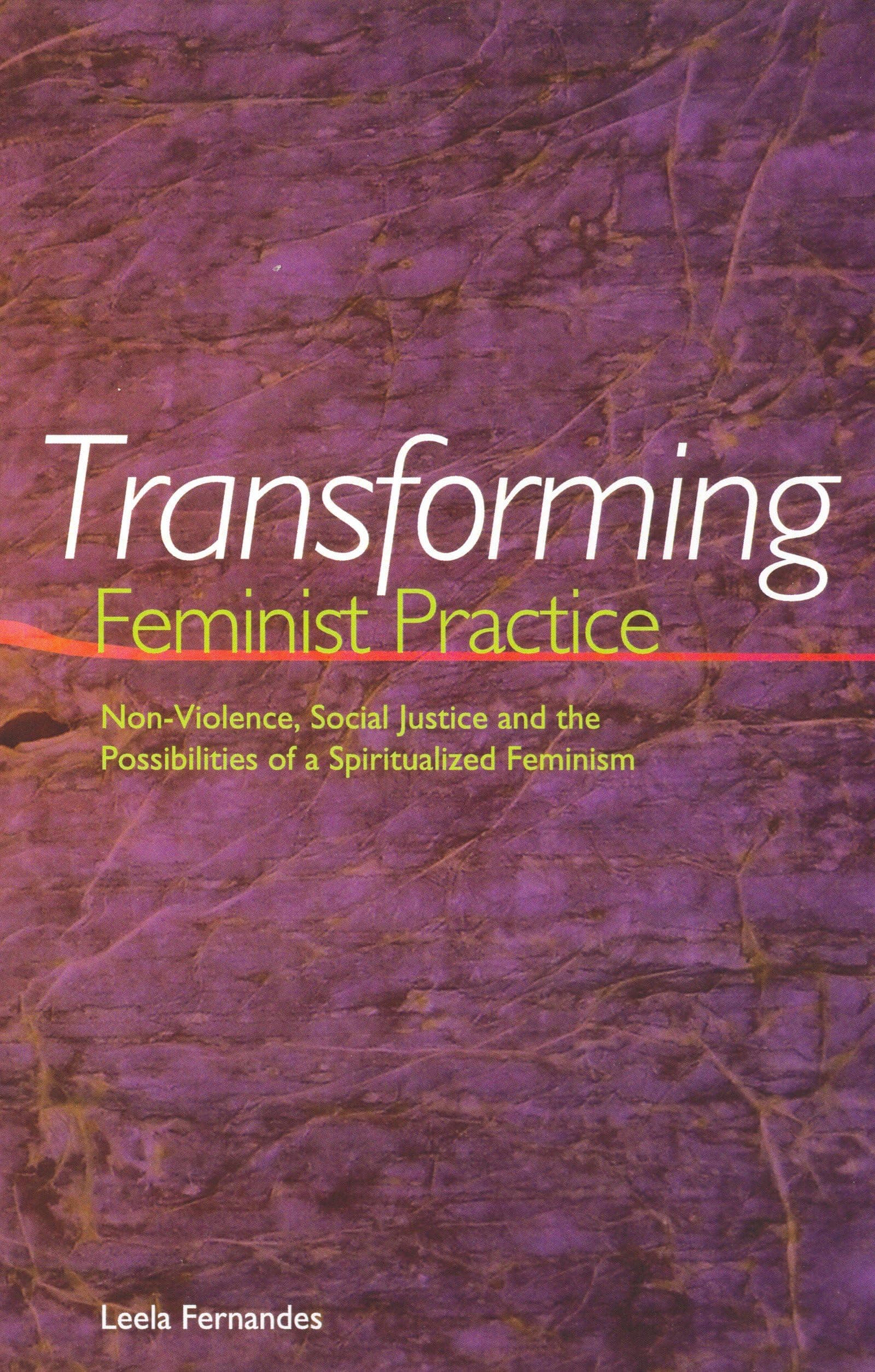 Transforming Feminist Practice: Non-Violence, Social Justice, and the Possibilities of a Spiritualized Feminism Paperback – January 1, 2003