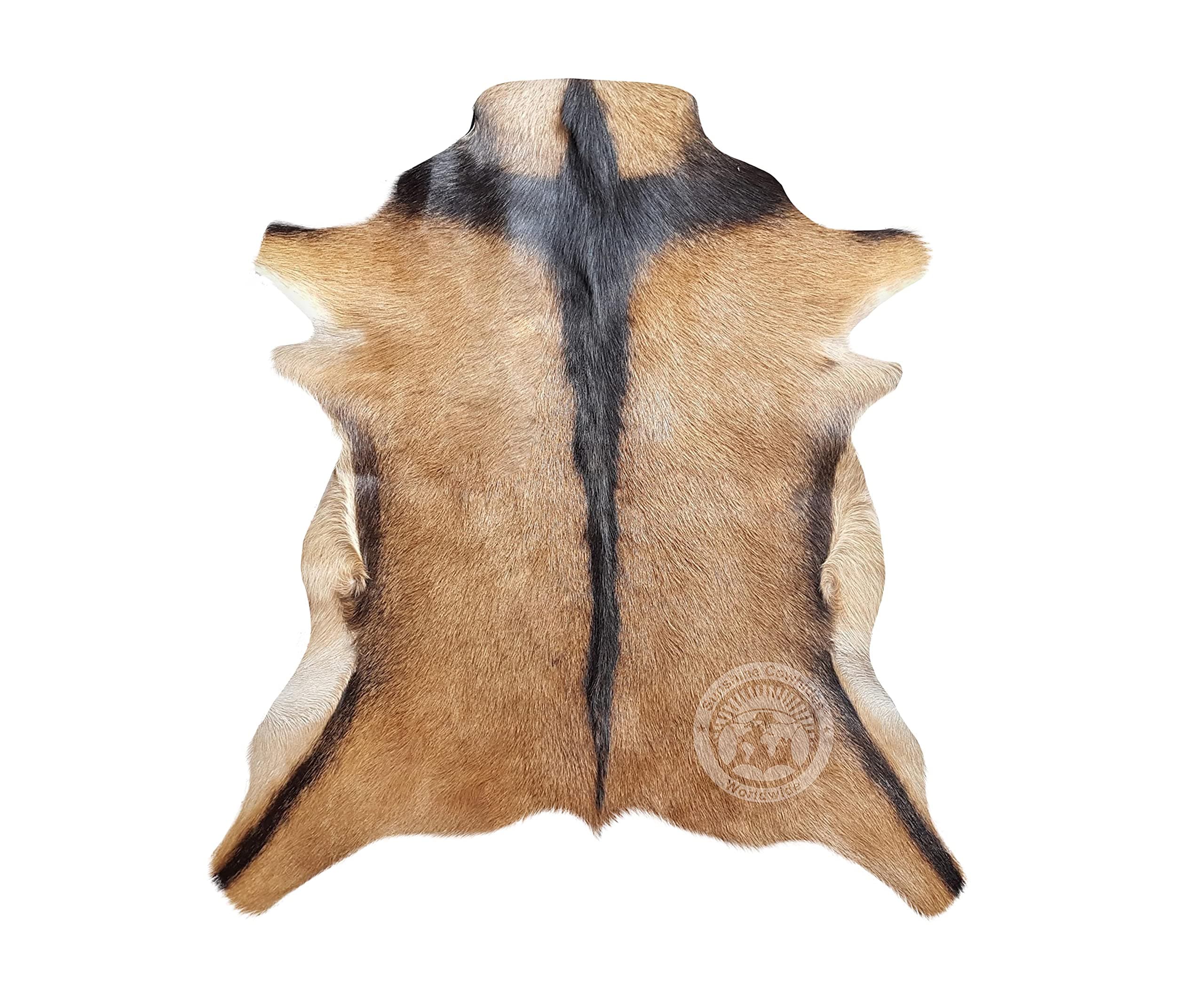 Sunshine Cowhides 100% Genuine Goat Hide Rug- Exotic Natural Suede Leather Goat Skin Carpet for Living Room, Bedroom, & Office - Animal Skin Rug for Home Decor Enthusiasts - Small (2.5 x 3 ft.)
